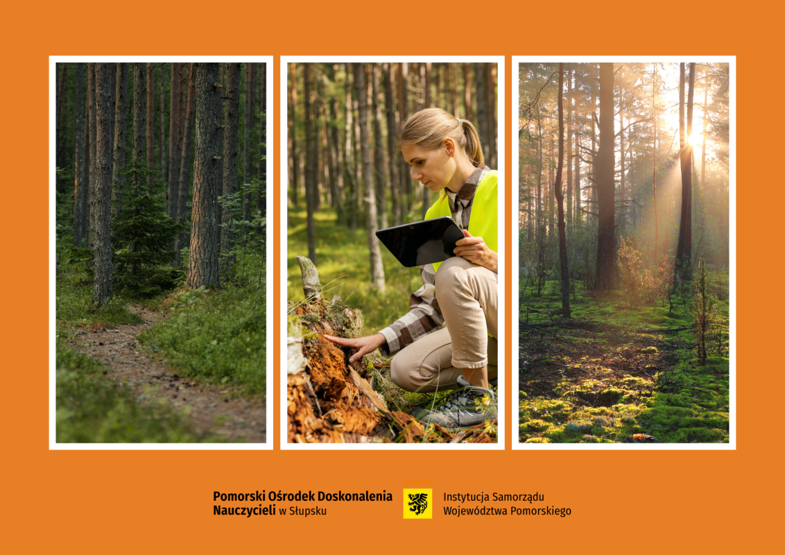 Warsztaty terenowe dla geografów - spotkanie z leśnikiem